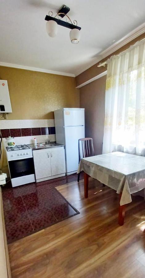 одна комнатная в центре Apartment